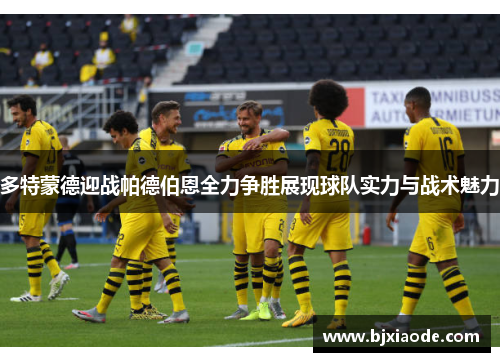 多特蒙德迎战帕德伯恩全力争胜展现球队实力与战术魅力